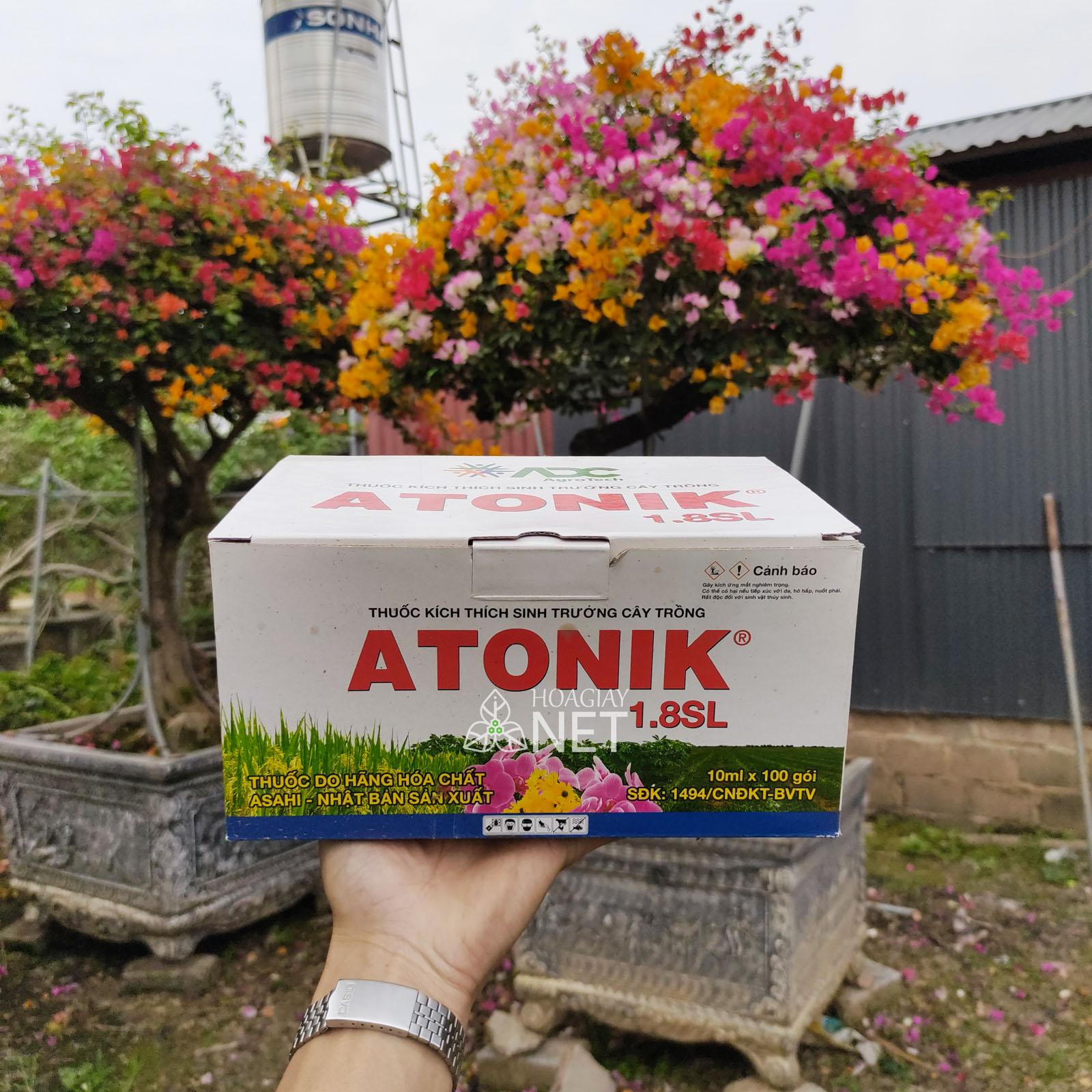 gói thuốc atonik giúp cây hoa giấy phát triển nhanh và mạnh